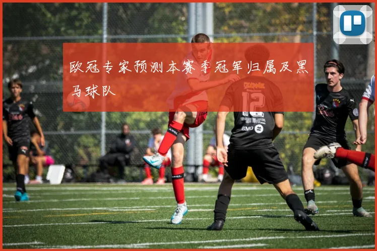 欧冠专家预测本赛季冠军归属及黑马球队