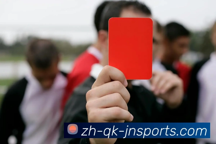 江南体育平台生态图